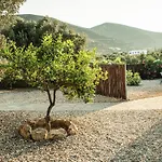 Verina Terra 4* Platis Gialos (Sifnos)