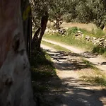 Verina Terra Apartahotel 4*