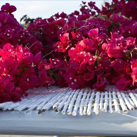 Verina Terra Apart Otel 4*