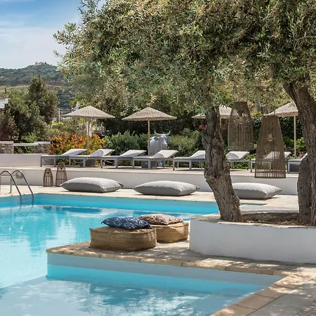 Apart Otel Verina Terra Platis Gialos (Sifnos)