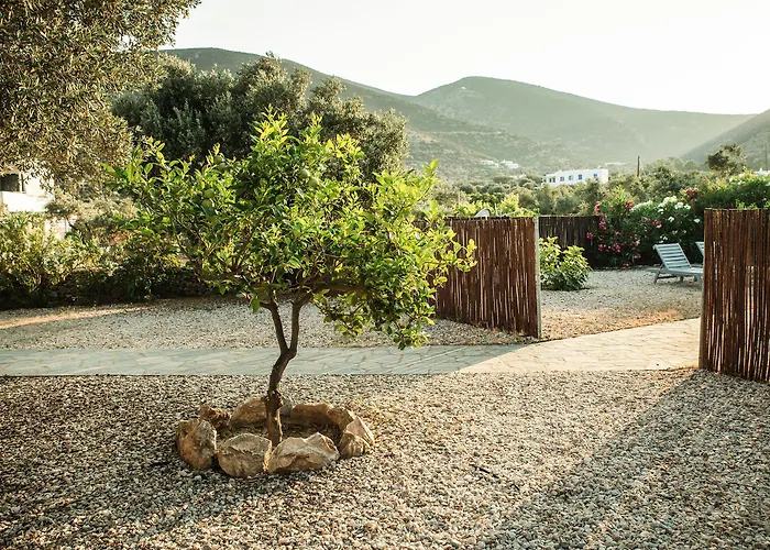 Verina Terra 4* Platis Gialos (Sifnos)