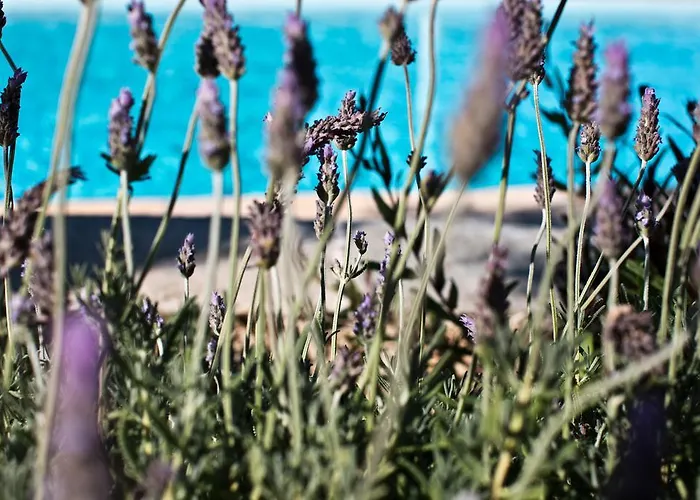 Verina Terra Aparthotel Platis Gialos (Sifnos)