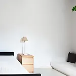 Verina Terra 4*