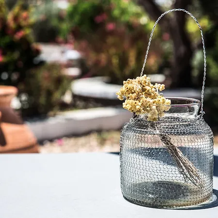 Verina Terra Apartahotel Platis Gialos (Sifnos)