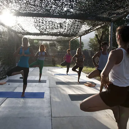 Verina Terra Platis Gialos (Sifnos)