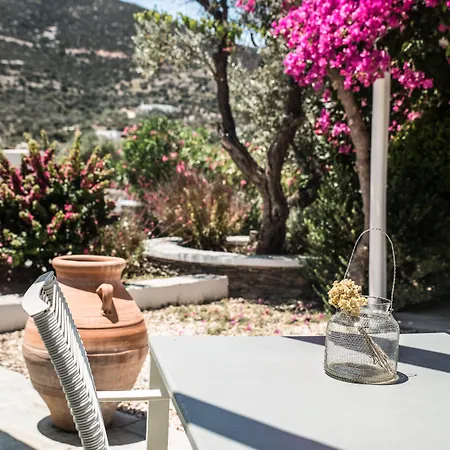 Verina Terra Platis Gialos (Sifnos)