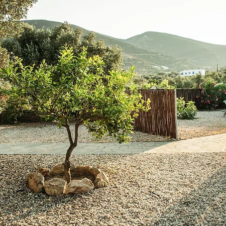 Verina Terra 4* Platis Gialos (Sifnos)