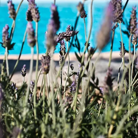 Verina Terra Aparthotel Platis Gialos (Sifnos)