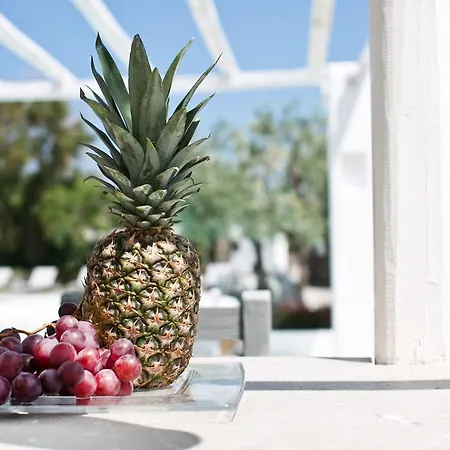 Lejlighedshotel Verina Terra