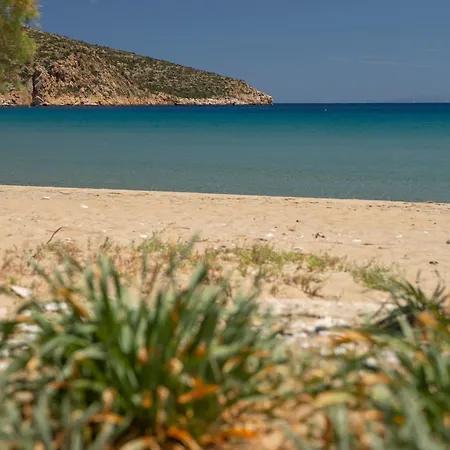 Verina Terra Platis Gialos (Sifnos)