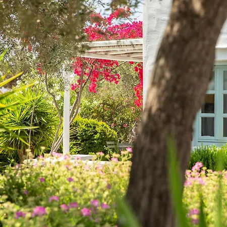 Aparthotel Verina Terra 4*