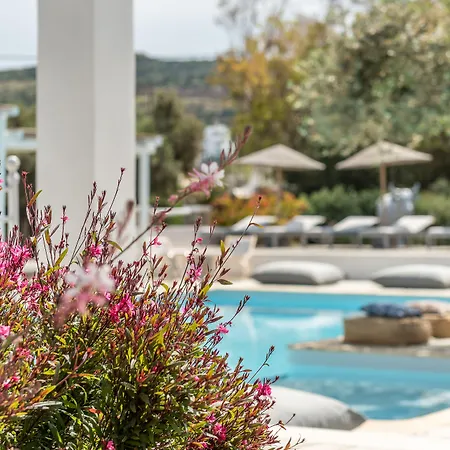 Aparthotel Verina Terra Platis Gialos (Sifnos)