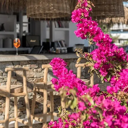 Verina Terra Aparthotel Platis Gialos (Sifnos)