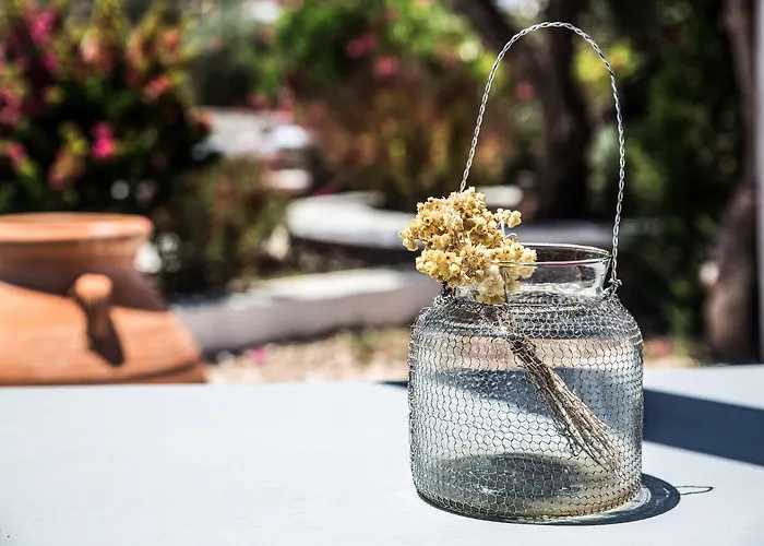 Verina Terra Apart Otel Platis Gialos (Sifnos)