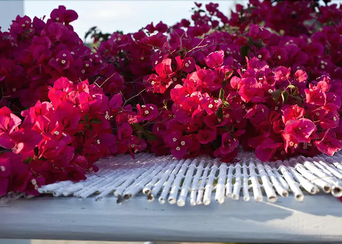 Verina Terra Apart Otel 4*